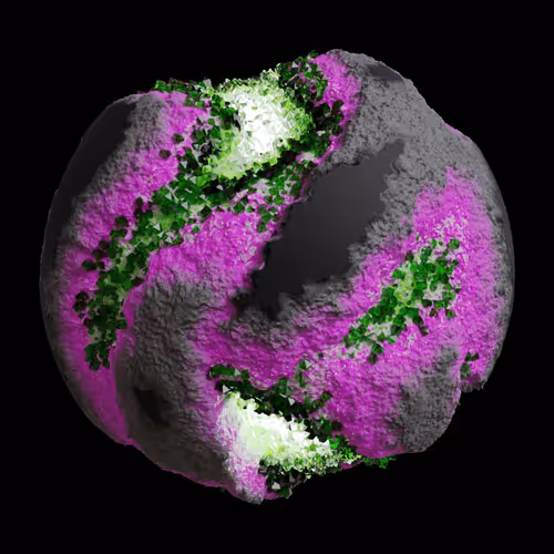 Asm Gen Ii Brains