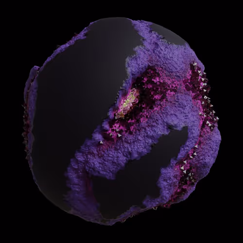 Asm Gen Ii Brains