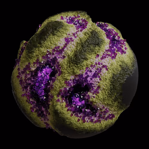 Asm Gen Ii Brains