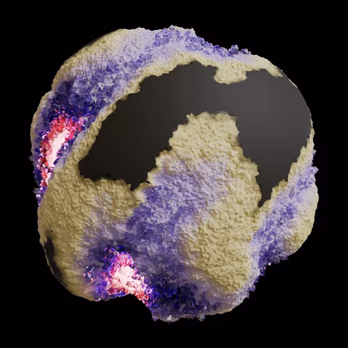 Asm Gen Ii Brains
