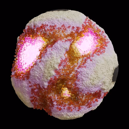 Asm Gen Ii Brains