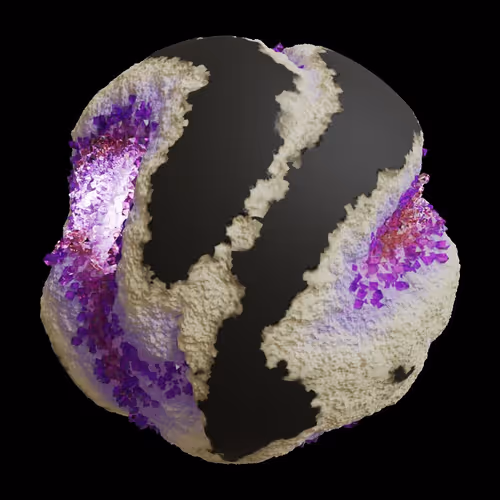 Asm Gen Ii Brains