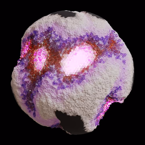 Asm Gen Ii Brains