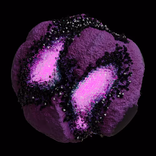 Asm Gen Ii Brains
