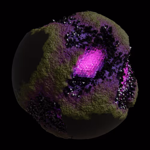 Asm Gen Ii Brains