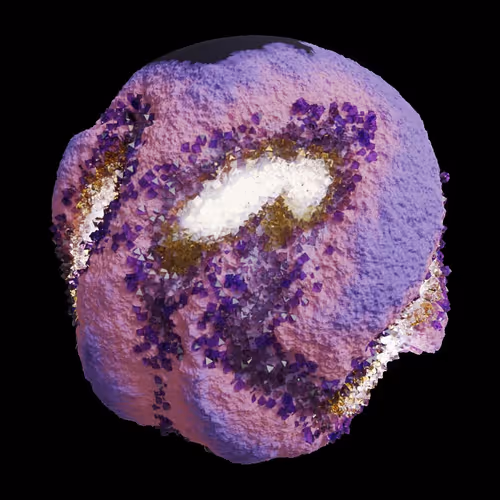 Asm Gen Ii Brains