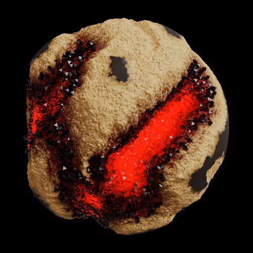 Asm Gen Ii Brains