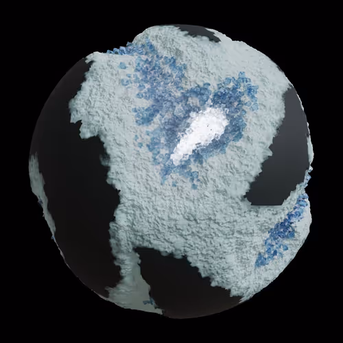 Asm Gen Ii Brains