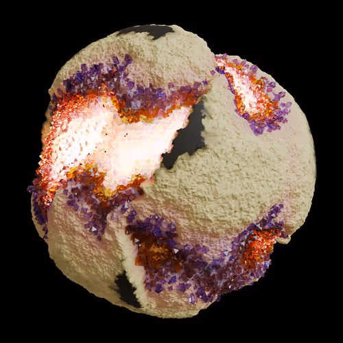 Asm Gen Ii Brains