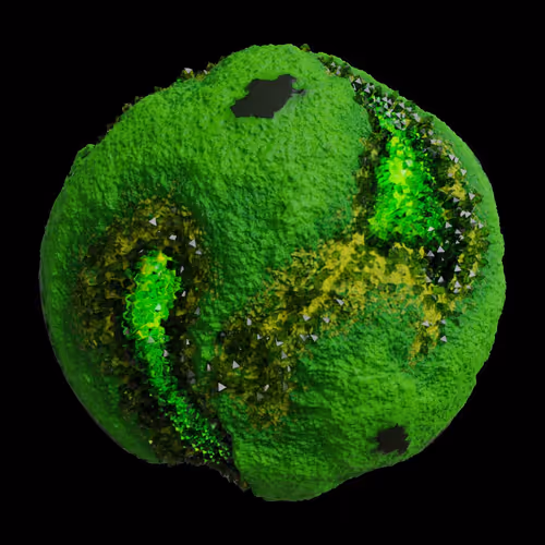 Asm Gen Ii Brains
