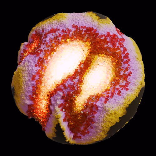 Asm Gen Ii Brains