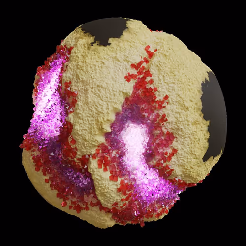 Asm Gen Ii Brains