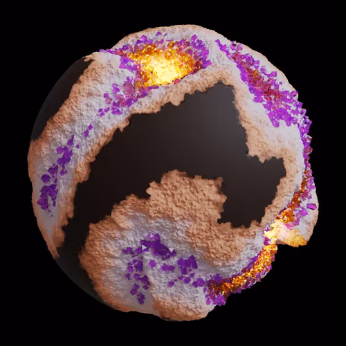 Asm Gen Ii Brains
