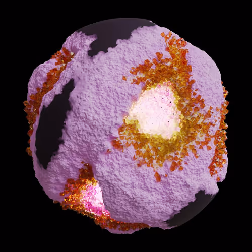 Asm Gen Ii Brains