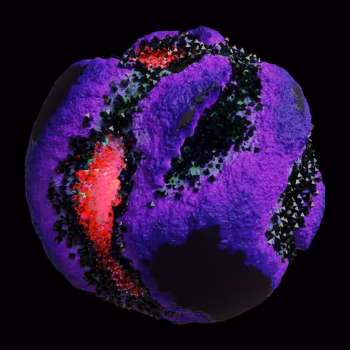 Asm Gen Ii Brains