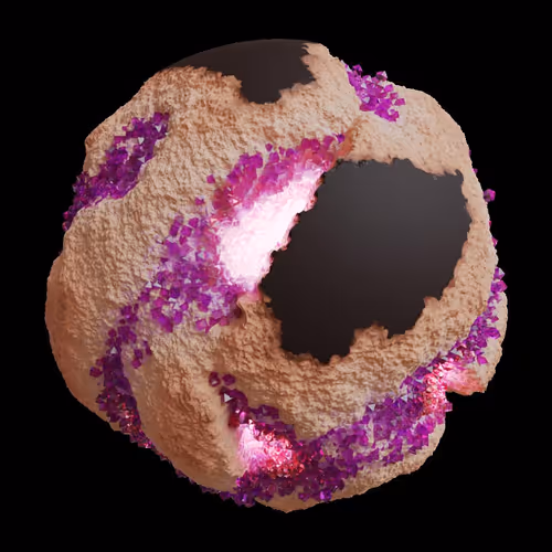 Asm Gen Ii Brains