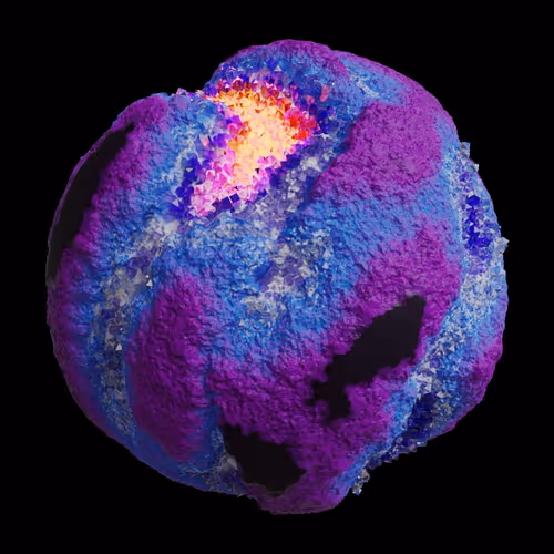 Asm Gen Ii Brains