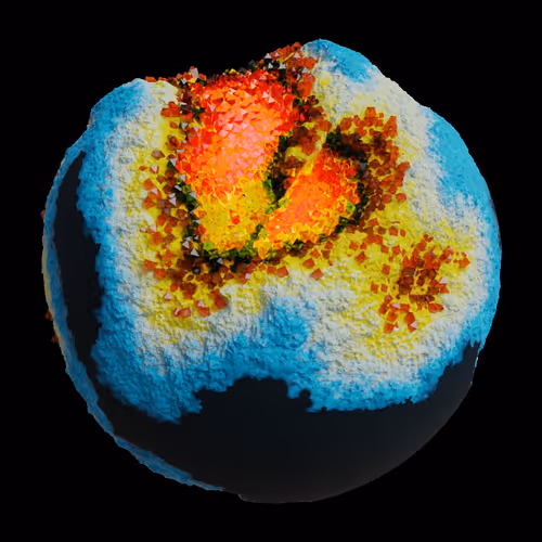 Asm Gen Ii Brains