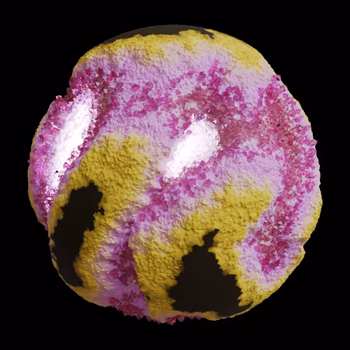 Asm Gen Ii Brains