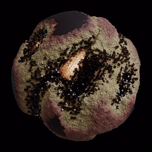 Asm Gen Ii Brains