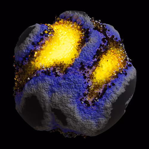 Asm Gen Ii Brains