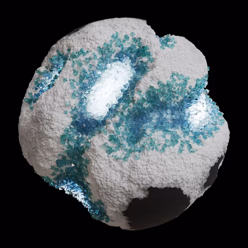 Asm Gen Ii Brains