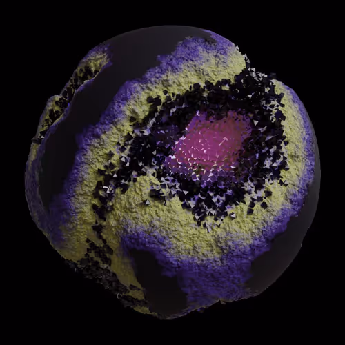 Asm Gen Ii Brains