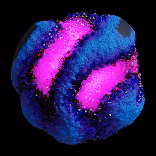 Asm Gen Ii Brains