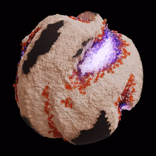 Asm Gen Ii Brains