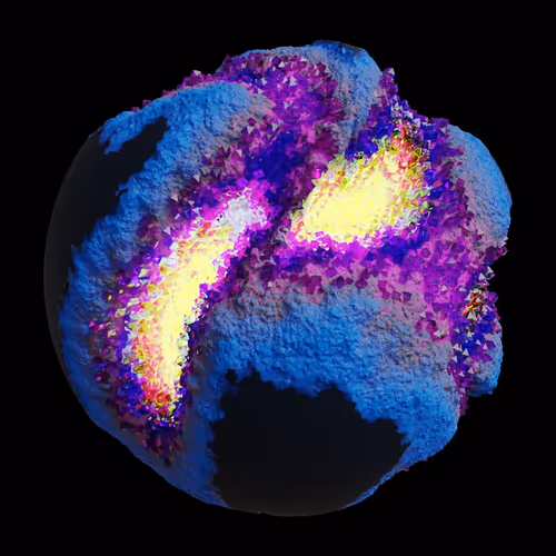 Asm Gen Ii Brains