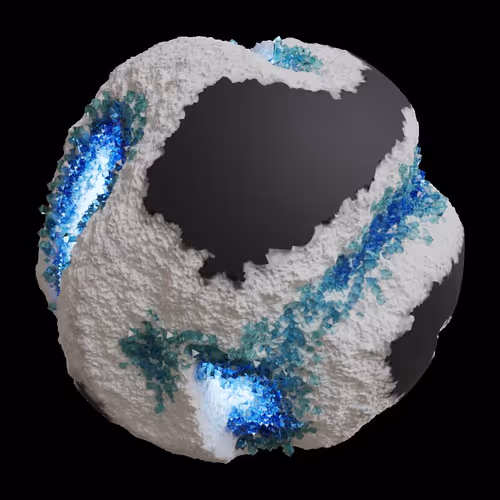 Asm Gen Ii Brains