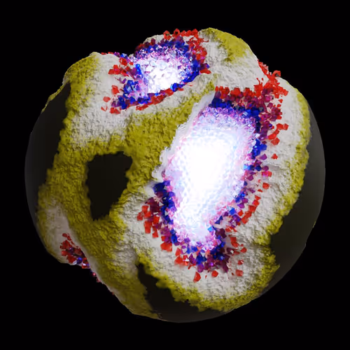 Asm Gen Ii Brains