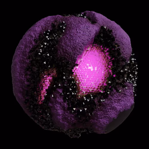 Asm Gen Ii Brains
