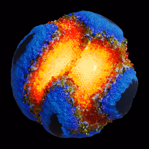 Asm Gen Ii Brains