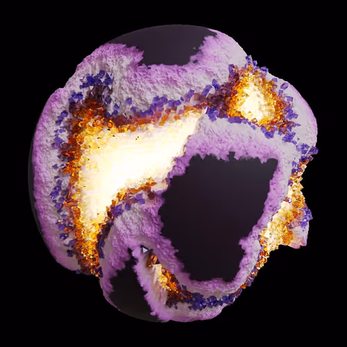 Asm Gen Ii Brains