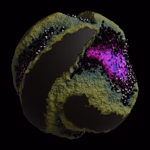 Asm Gen Ii Brains