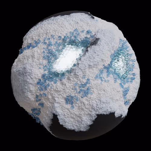 Asm Gen Ii Brains