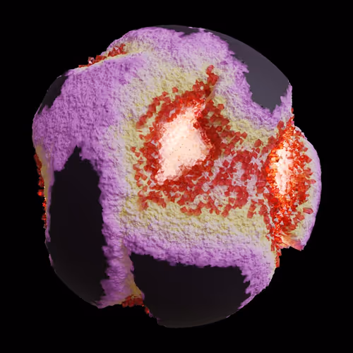 Asm Gen Ii Brains