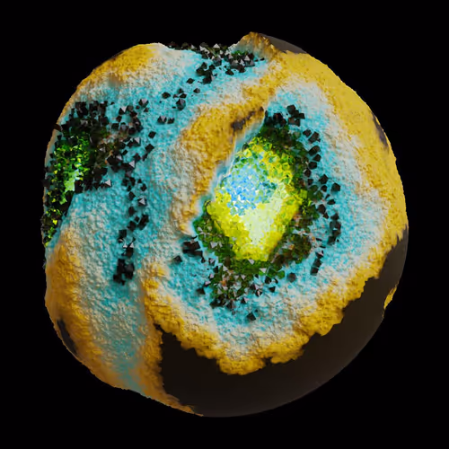 Asm Gen Ii Brains