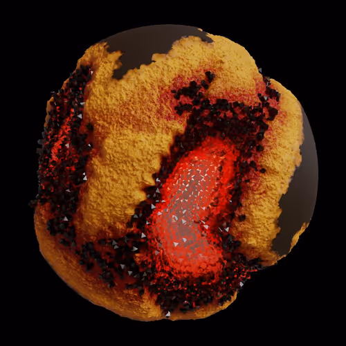 Asm Gen Ii Brains