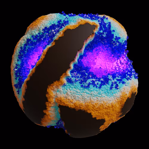 Asm Gen Ii Brains