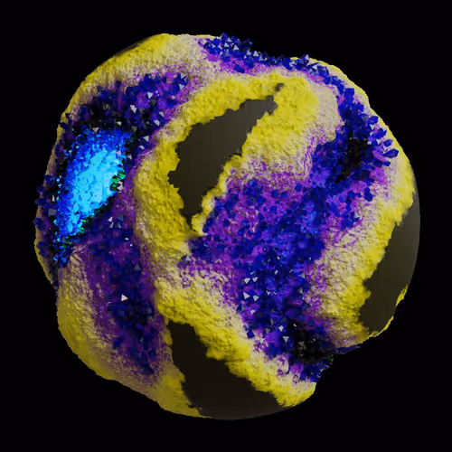 Asm Gen Ii Brains