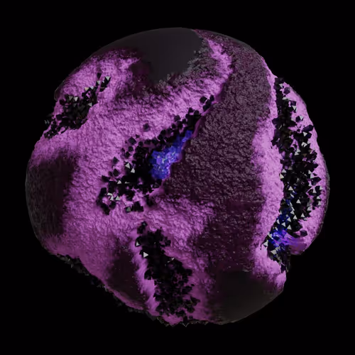 Asm Gen Ii Brains