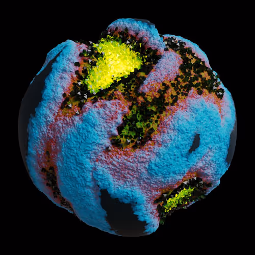 Asm Gen Ii Brains