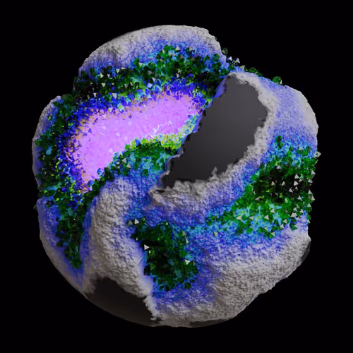 Asm Gen Ii Brains