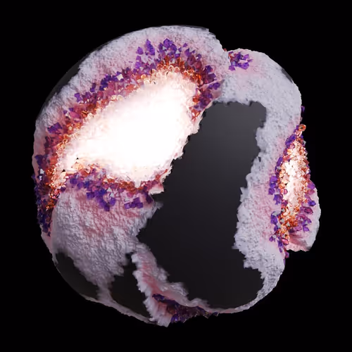 Asm Gen Ii Brains