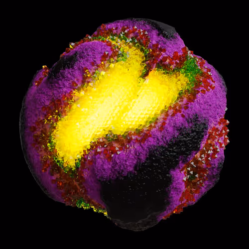 Asm Gen Ii Brains