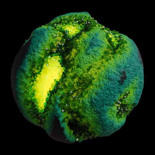 Asm Gen Ii Brains