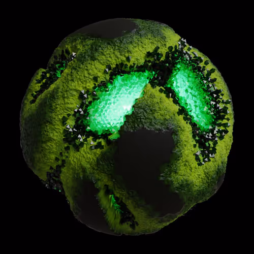 Asm Gen Ii Brains