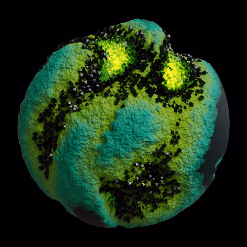 Asm Gen Ii Brains